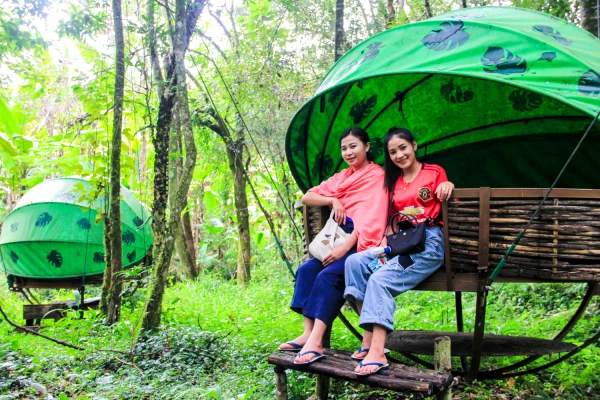 ລາຍການຍ່າງປ່າ, ໄຕ້ເບີ່ງສັດປ່າ ແລະ ນອນເຮືອນຮັງນົກ ລາຍການຍ່າງປ່າ, ໄຕ້ເບີ່ງສັດປ່າ ແລະ ນອນເຮືອນຮັງນົກ