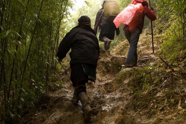 2 Days Trekking+ Hmong, Khmu Villages + Boat Ride}