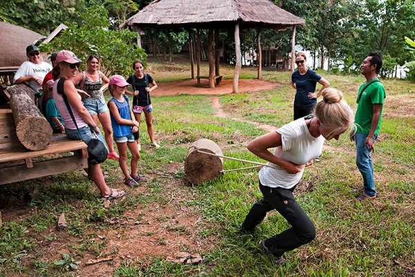 Experience Elephant Conservation Center in Sayabouly: A 2 Days - 1 Night Adventure