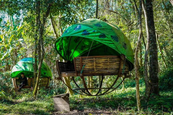ລາຍການຍ່າງປ່າ, ໄຕ້ເບີ່ງສັດປ່າ ແລະ ນອນເຮືອນຮັງນົກ ລາຍການຍ່າງປ່າ, ໄຕ້ເບີ່ງສັດປ່າ ແລະ ນອນເຮືອນຮັງນົກ