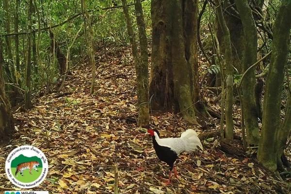 3 Days 2 Nights 'Waterfall & Nests' Trek}