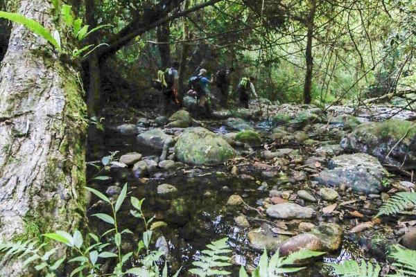 5 Days 4 Nights Cloud Forest Challenge Trek}