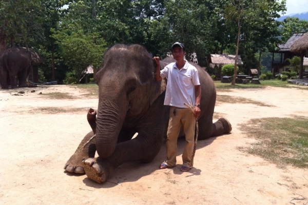 Day Mahout Experience}