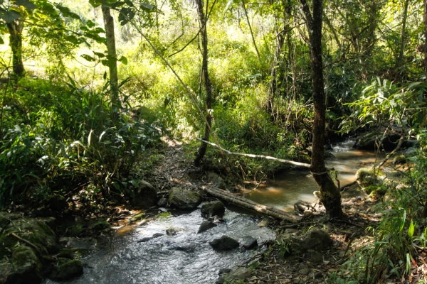 4天3夜“云雾森林挑战”徒步(无寄宿) 4天3夜“云雾森林挑战”徒步(无寄宿)