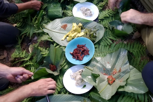 ค้างแรมในป่าสุดท้าทาย 3 วัน 2 คืน ค้างแรมในป่าสุดท้าทาย 3 วัน 2 คืน