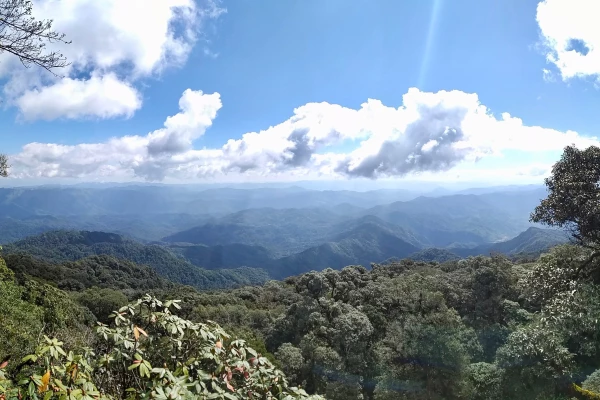 4天3夜“云雾森林挑战”徒步(无寄宿) 4天3夜“云雾森林挑战”徒步(无寄宿)
