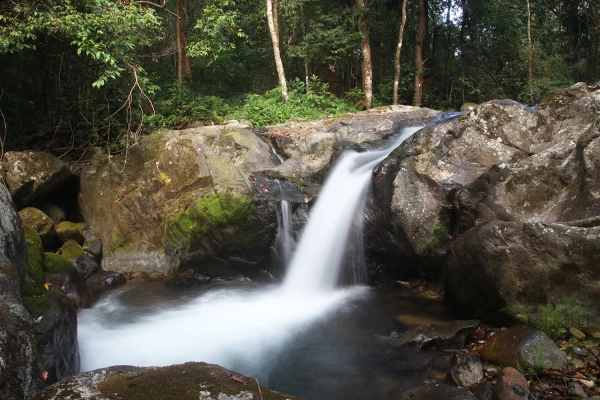 4 Days 3 Nights 'Cloud Forest Challenge' Trek (No Nests)}