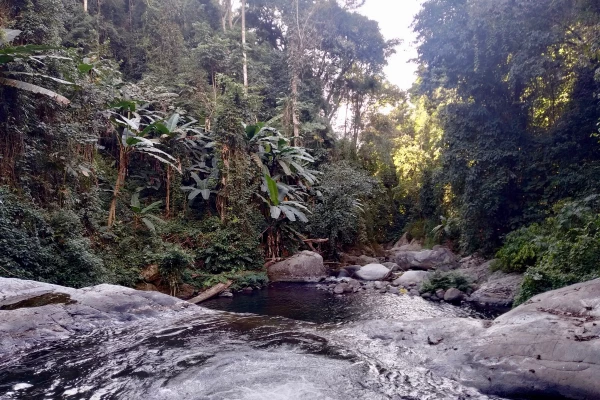 ຄວາມທ້າທາຍໃນປ່ານໍ້າໝອກ ( ບໍ່ລວມເຮືອນຮັງນົກ )