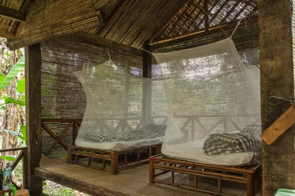 ทัวร์ส่องสัตว์ป่า 24 ชั่วโมงที่น้ำเนินซาฟารี