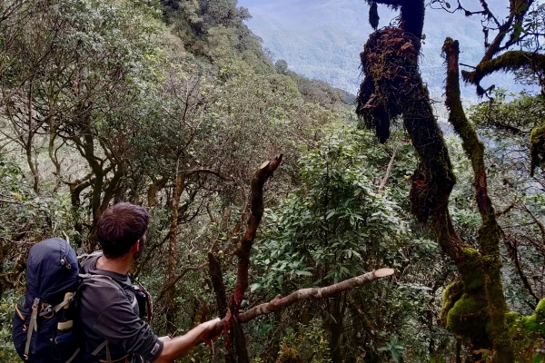 4天3夜“云雾森林挑战”徒步(无寄宿) 4天3夜“云雾森林挑战”徒步(无寄宿)