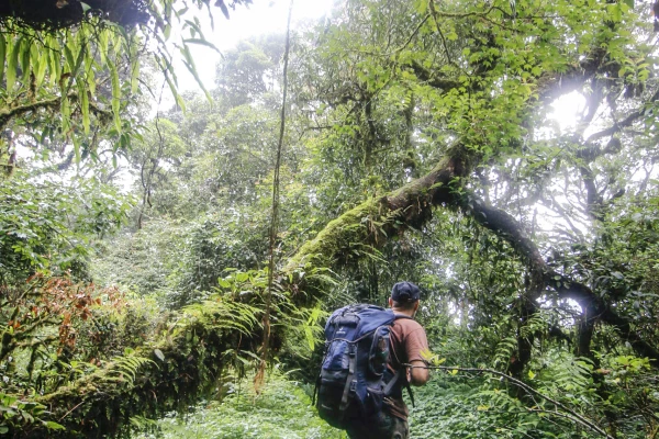 5 Days 4 Nights Cloud Forest Challenge Trek}