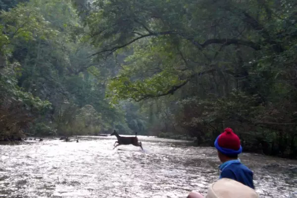 ทัวร์ส่องสัตว์ป่า 24 ชั่วโมงที่น้ำเนินซาฟารี