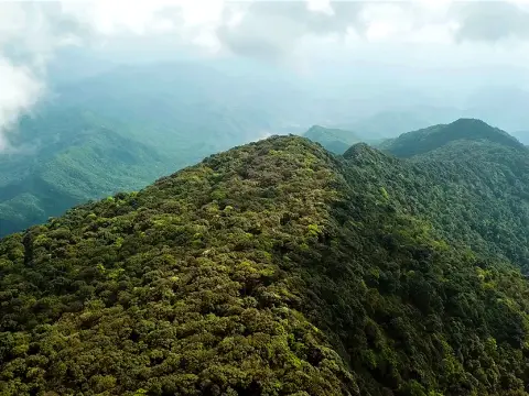 Nam Et-Phou Louey National Park – The Heart of NorthEast Laos