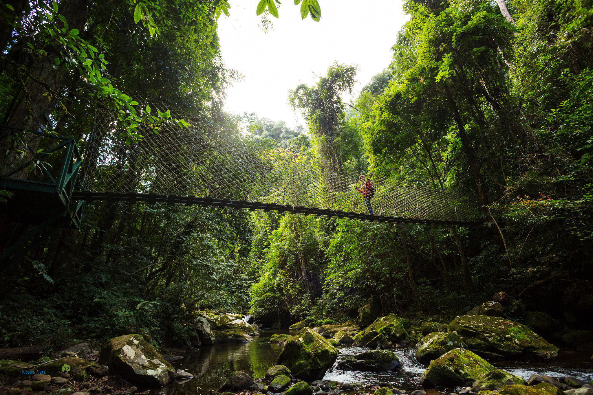 野性之旅：老挝适合各种类型的冒险家！