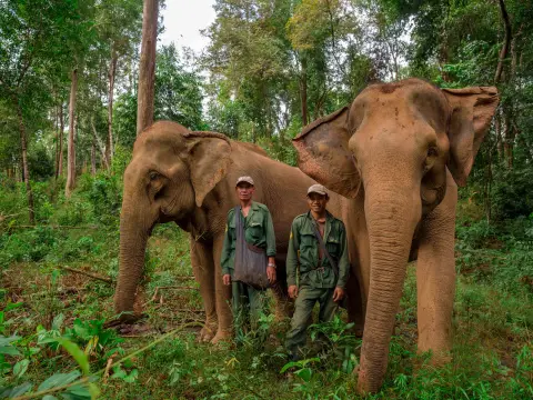 The Elephant Conservation Center