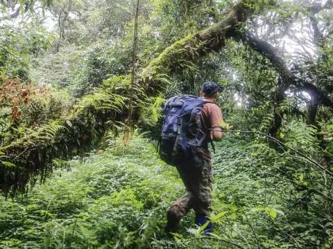 Linking Travel with Wildlife Conservation