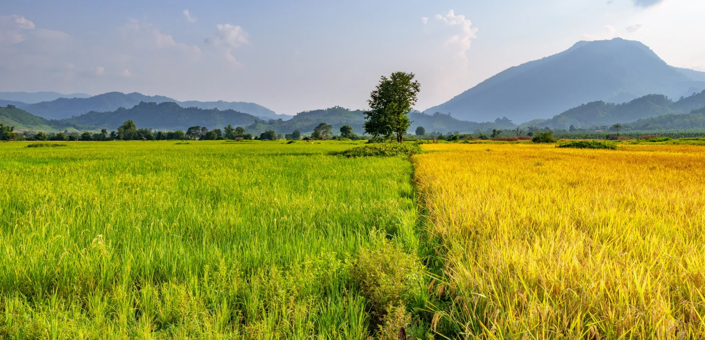 为什么老挝应该成为您下一个旅行目的地