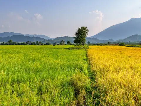 Why Laos should be your next travel destination