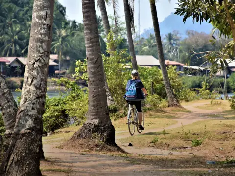 The Secret Lives of Islands
