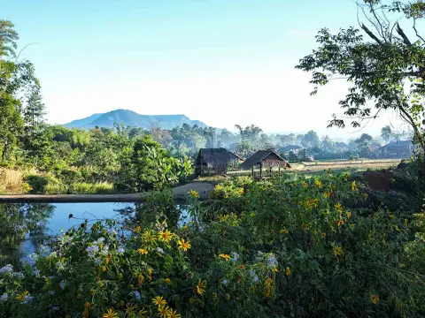 An Epic Bolaven Road Trip