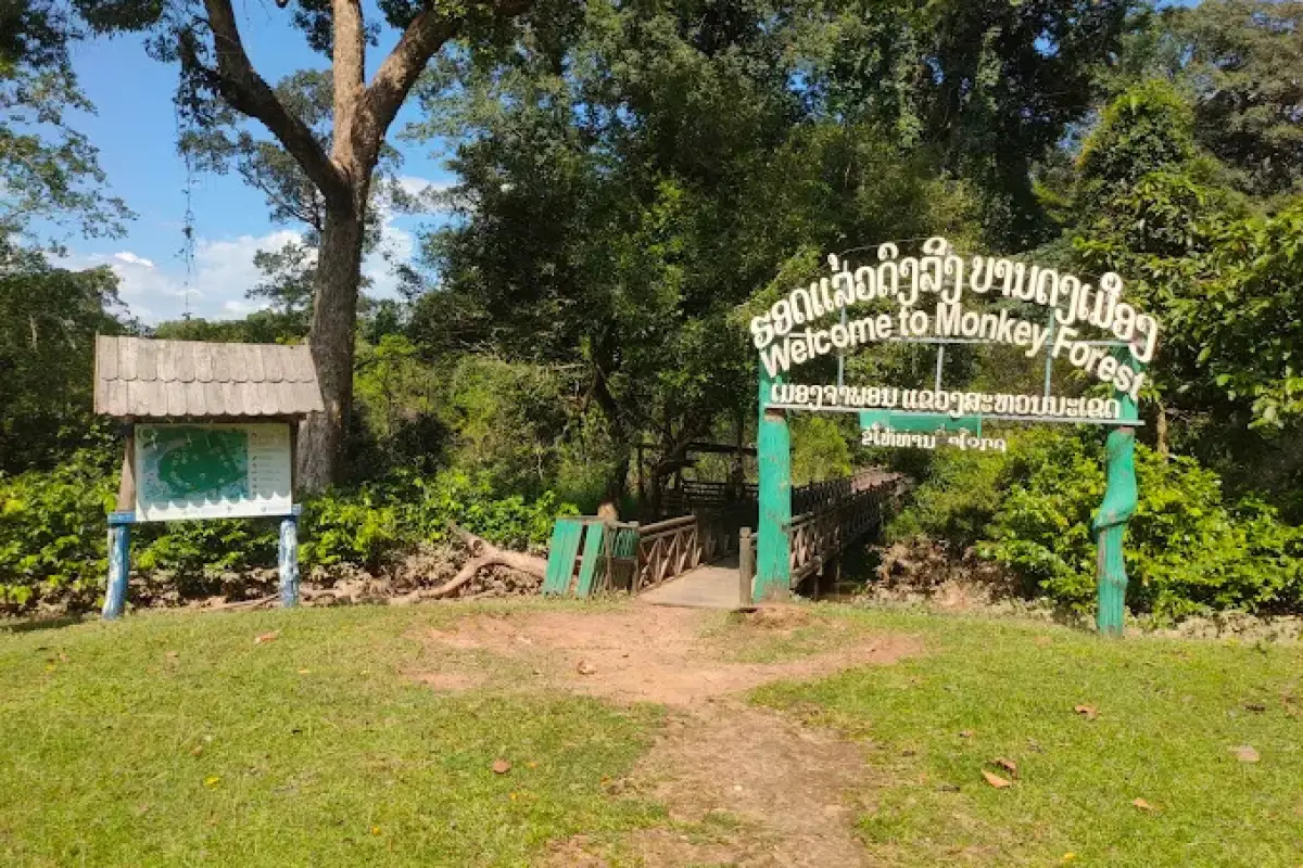 Monkey Forest