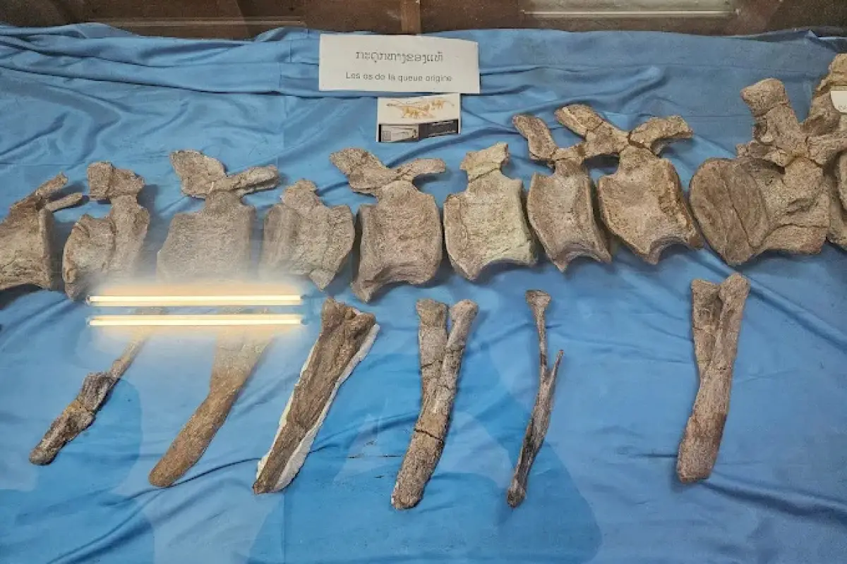 Savannakhet Dinosaur Museum