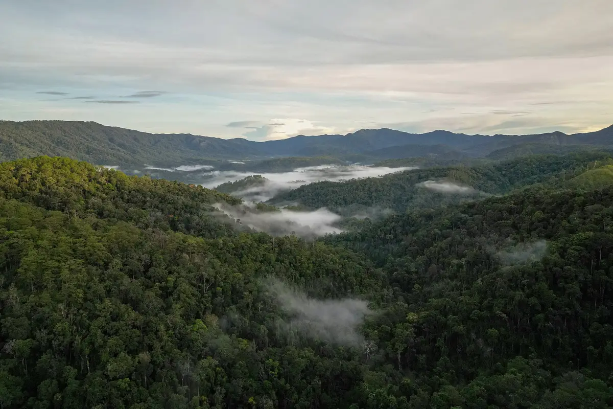 Xesap National Park (Xe Sap National Park)