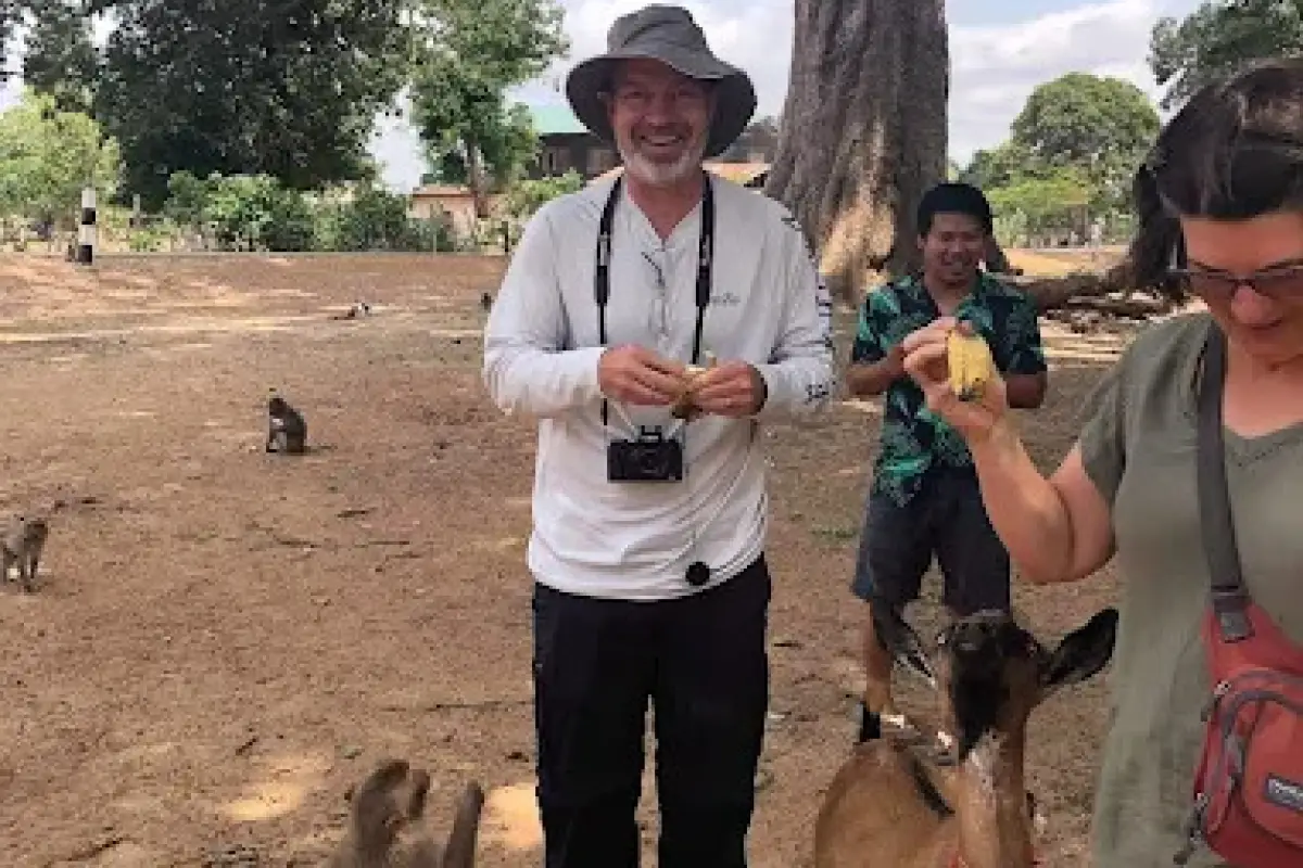Monkey Forest