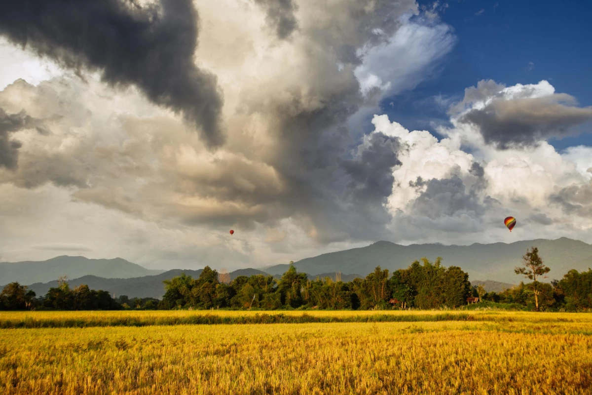 ການສຳຫຼວດວັງວຽງ - ທາງອາກາດ