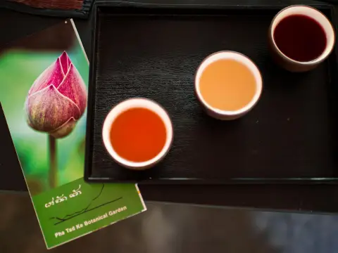 ສວນພຶກສາຜາຕັດແກ້