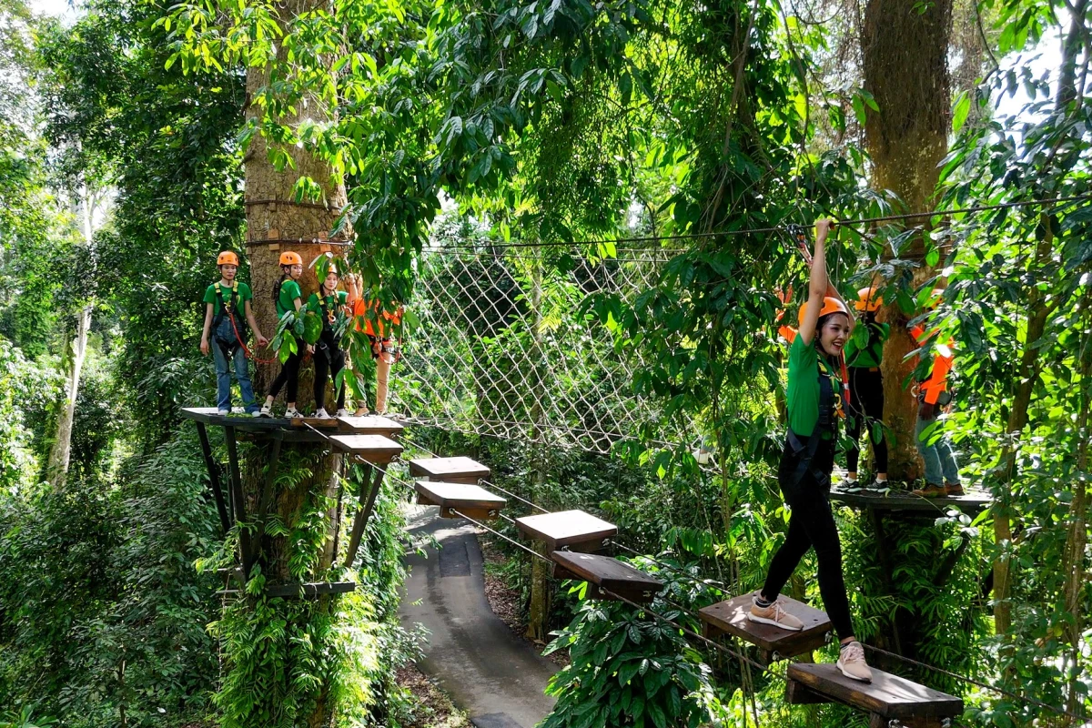 La Forêt La Forêt