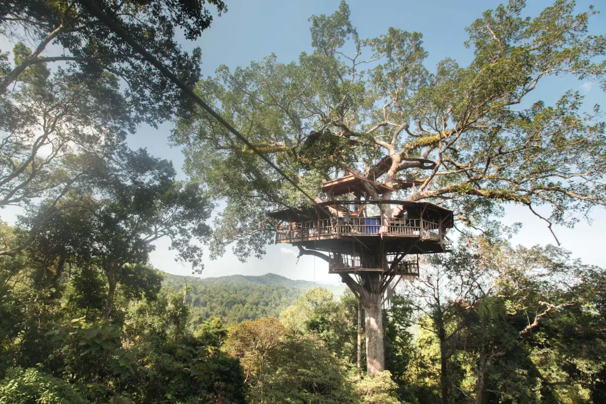 Tree House at The Gibbon Experience