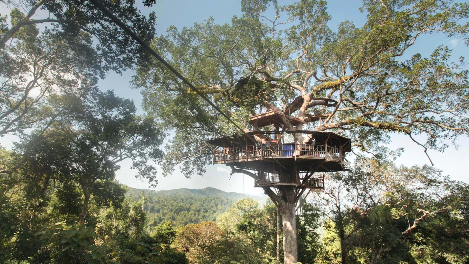 Tree House at The Gibbon Experience
