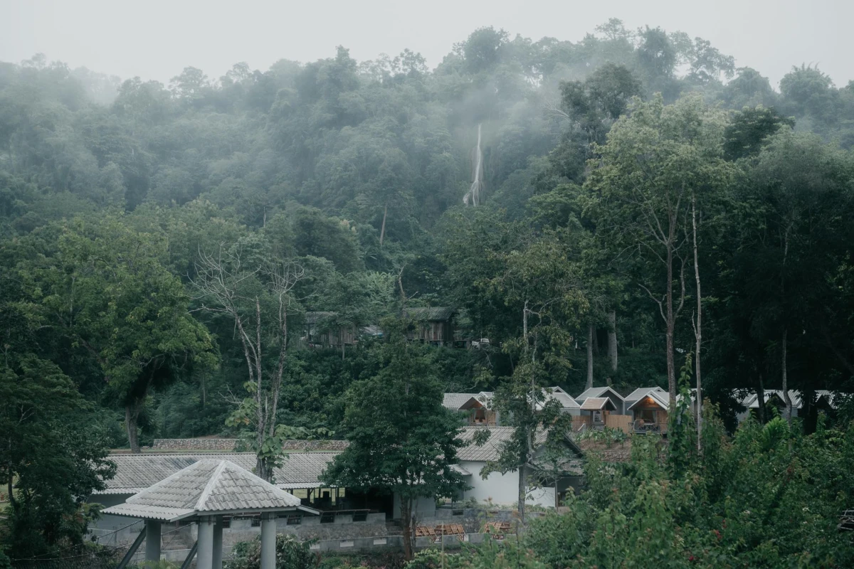 Tad Hoi Khua Falls / Green Jungle