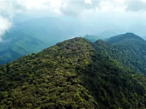 ອຸທິຍານແຫ່ງຊາດນໍ້າ​ແອດ-​ພູ​ເລີຍ