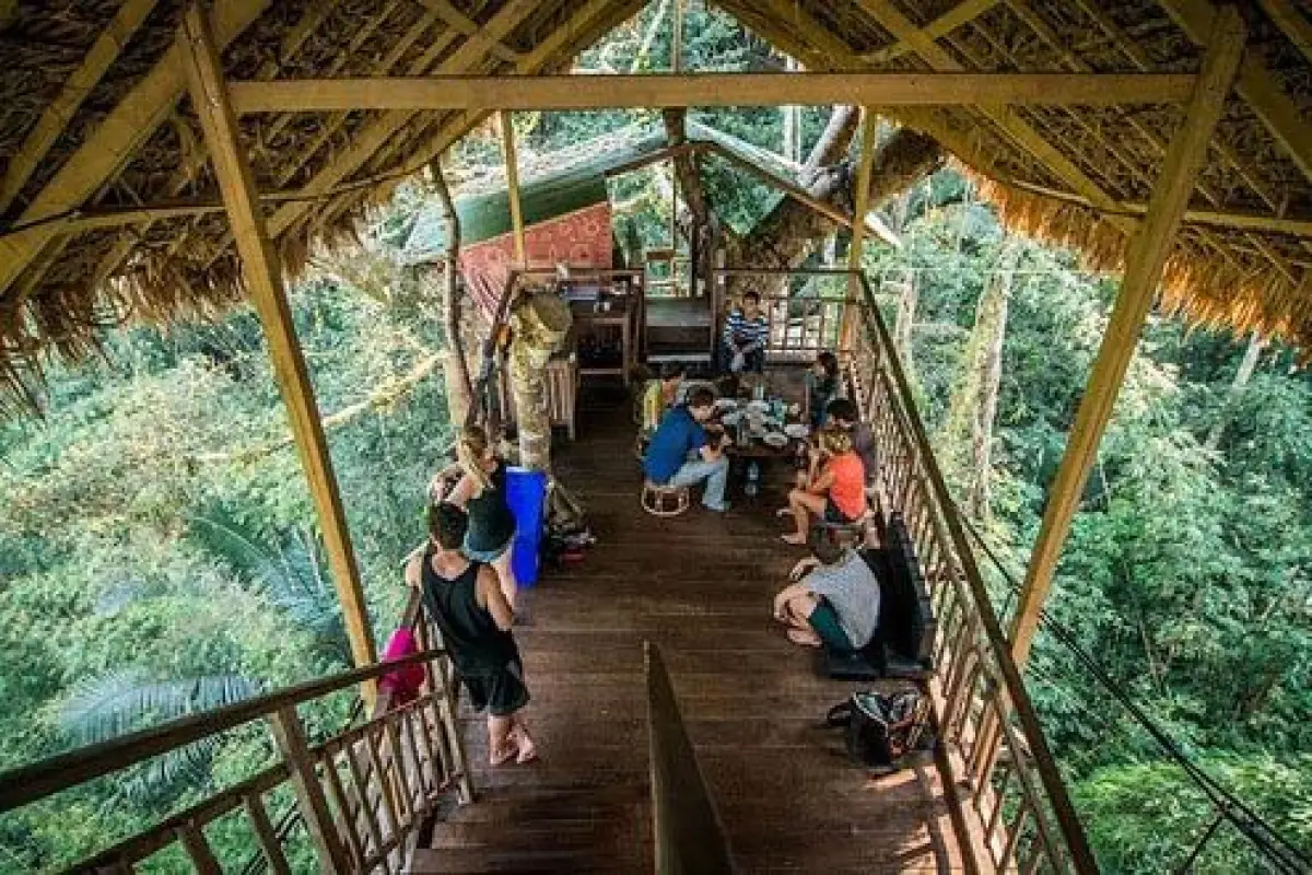 The Gibbon Experience