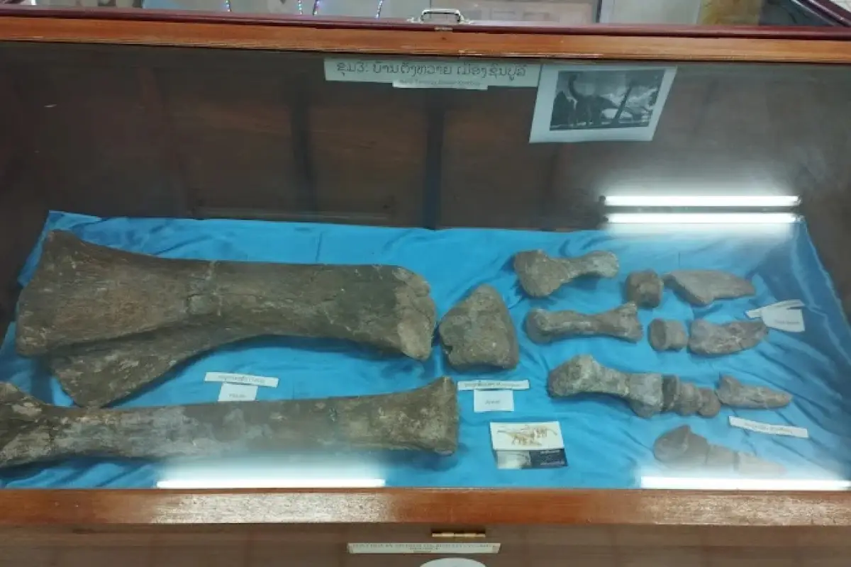 Savannakhet Dinosaur Museum