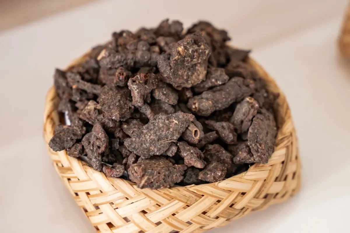 Mulberries Organic Silk Farm