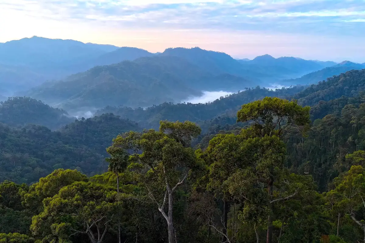 Nam Phouy National Biodiversity Conservation Area