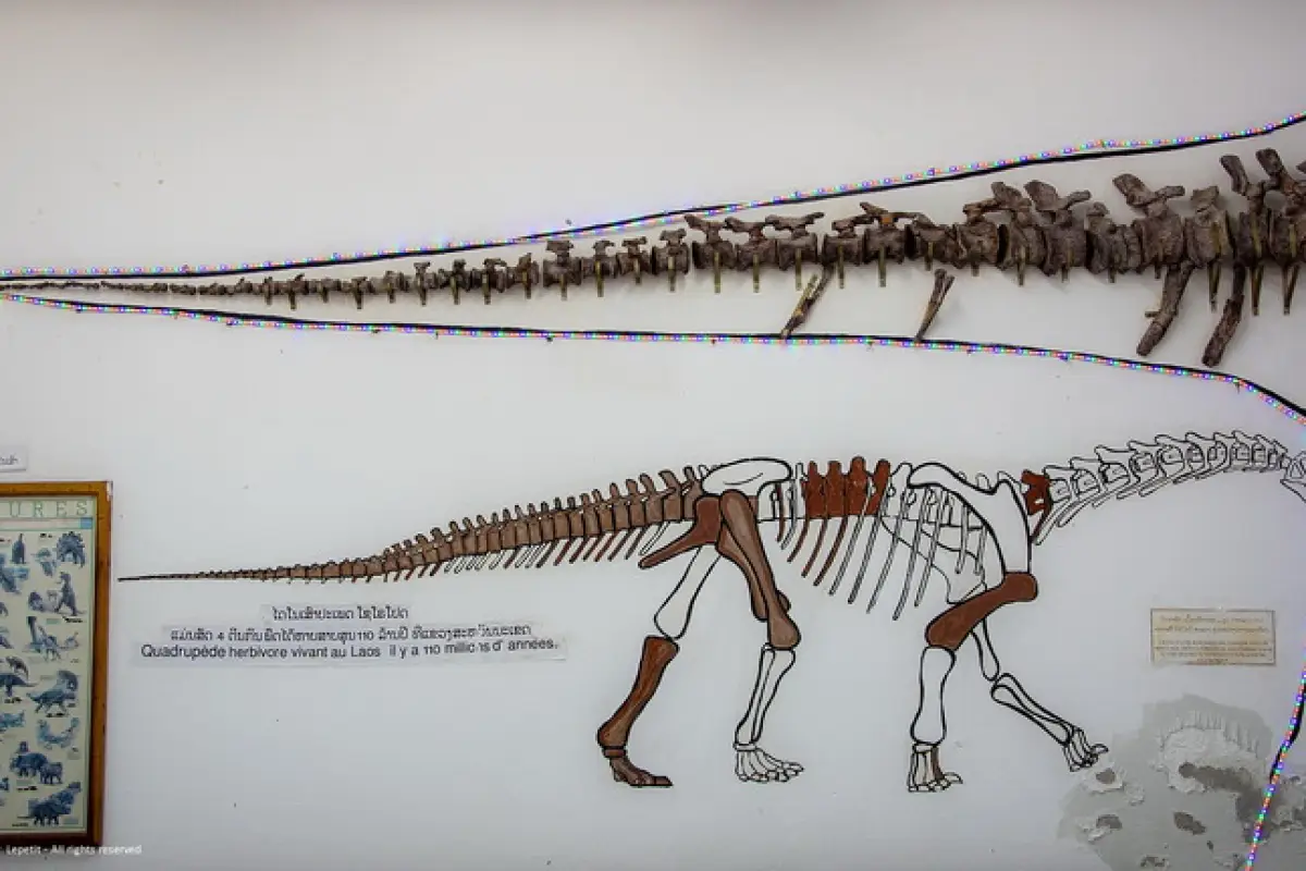 Savannakhet Dinosaur Museum