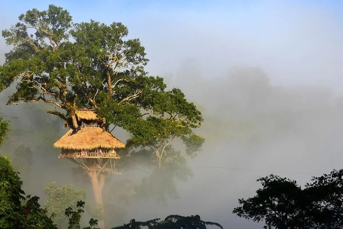 The Gibbon Experience