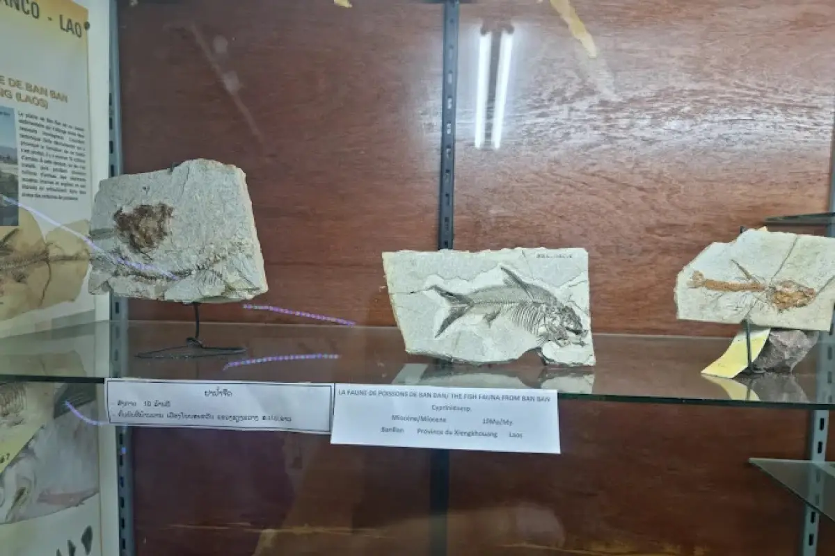 Savannakhet Dinosaur Museum