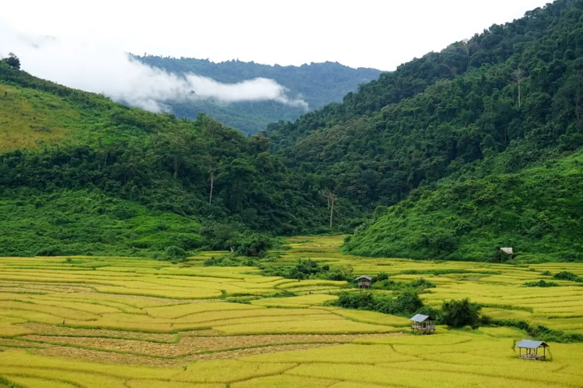 Nam Kading National Protected Area