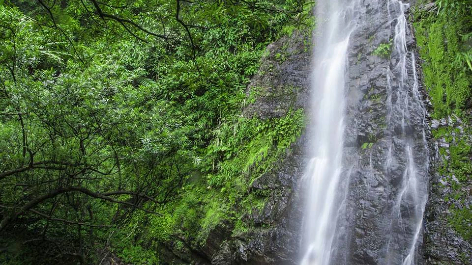 Kaeng Nyui Waterfall