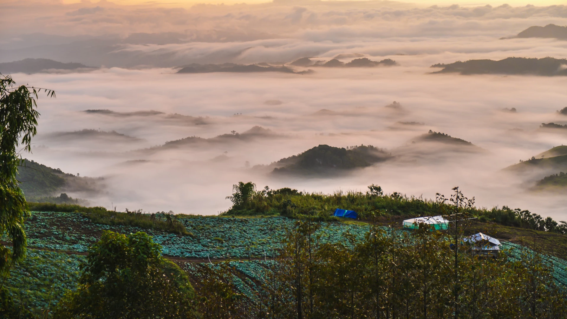 A beautiful morning mist view over the mountain in Phoukhoun area.