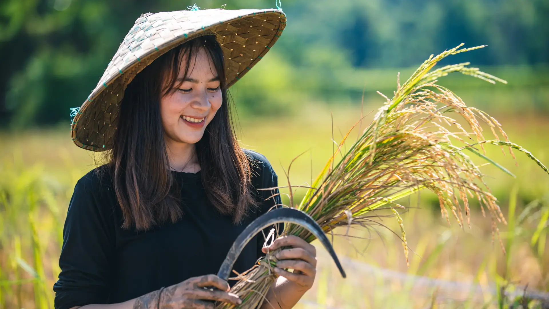 The Living Land Farm - Rice Farming Experience
