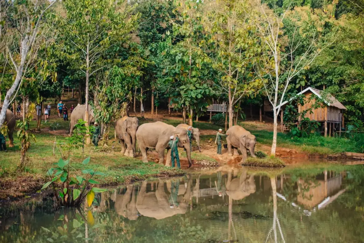 Elephant Conservation Center (ECC)