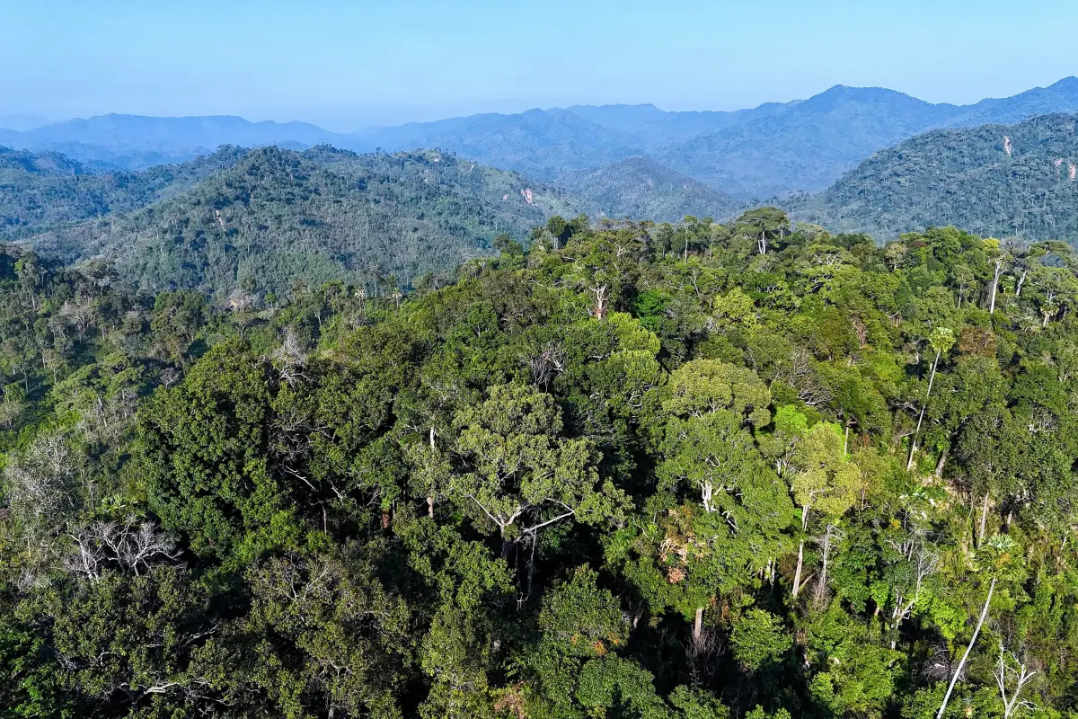Nam Phouy National Biodiversity Conservation Area