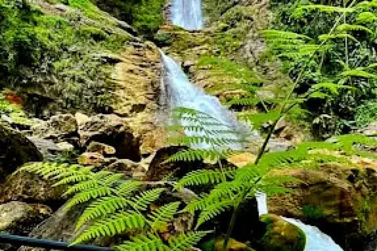 Nam Neua Waterfall
