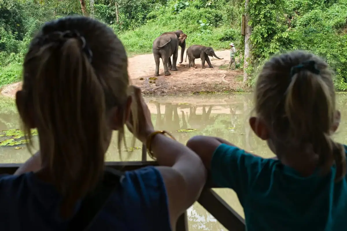 Elephant Conservation Center (ECC)